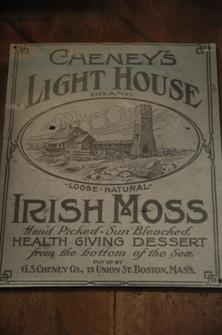 Bath Irish Moss.jpg