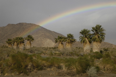 Borrego rainbow.jpg