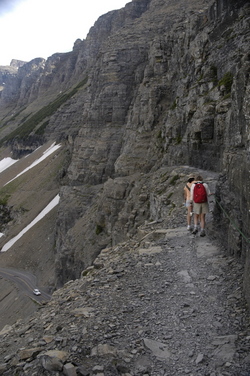 Glacier highline trail.jpg