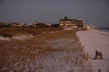 Henderson BSP sea oats.jpg