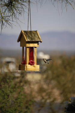 Huachuca City hummers.jpg