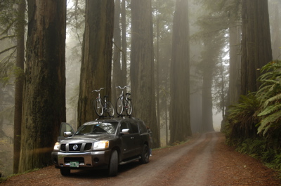 Nissan in redwoods.jpg