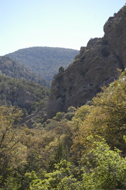 Ramsay Canyon.jpg