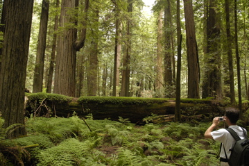 Redwoods hike Rich.jpg