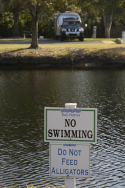 Tampa alligator sign.jpg