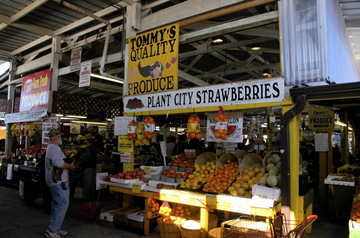 Tampa flea mkt fruit.jpg