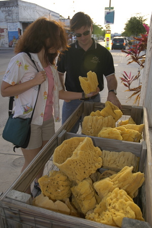 Tarpon Springs sponges.jpg