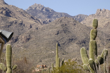 Tucson Catalina.jpg