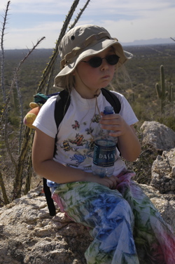 Tucson Saguaro Emma water.jpg