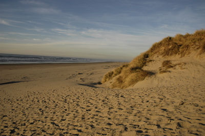 dunes1.jpg