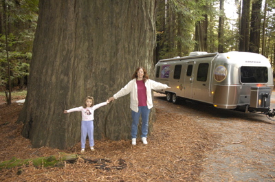 eleanor emma redwoods.jpg