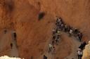 bryce-mojave-trail-crowd.jpg