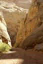 capitol-reef-grand-wash-hike.jpg